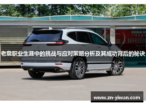 老詹职业生涯中的挑战与应对策略分析及其成功背后的秘诀