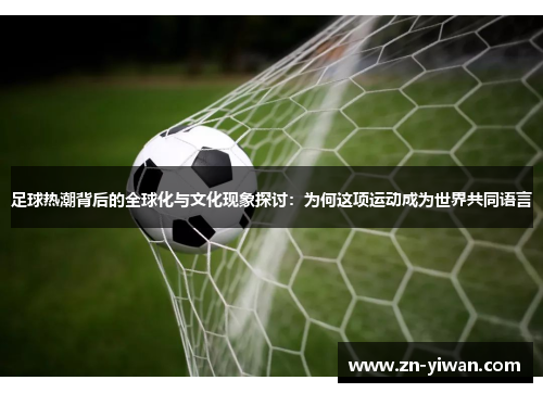 足球热潮背后的全球化与文化现象探讨：为何这项运动成为世界共同语言