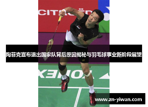 陶菲克宣布退出国家队背后原因揭秘与羽毛球事业新阶段展望