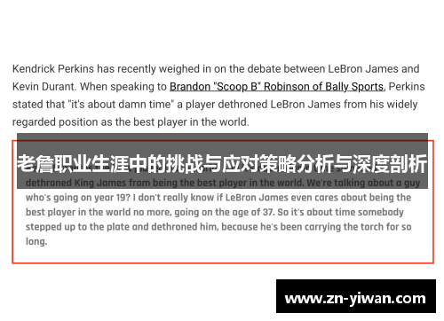 老詹职业生涯中的挑战与应对策略分析与深度剖析