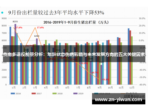 费南多退役前景分析：年龄状态伤病影响与未来发展方向的五大关键因素