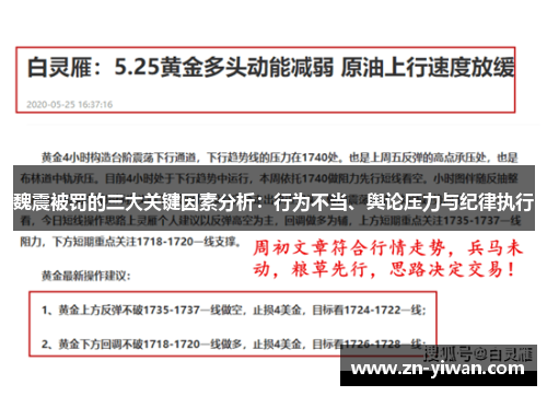 魏震被罚的三大关键因素分析：行为不当、舆论压力与纪律执行