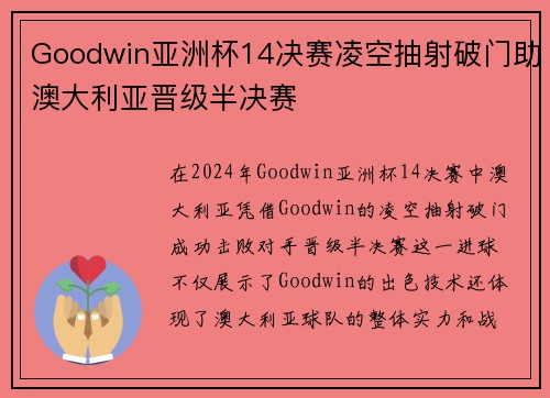Goodwin亚洲杯14决赛凌空抽射破门助澳大利亚晋级半决赛