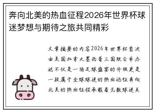 奔向北美的热血征程2026年世界杯球迷梦想与期待之旅共同精彩